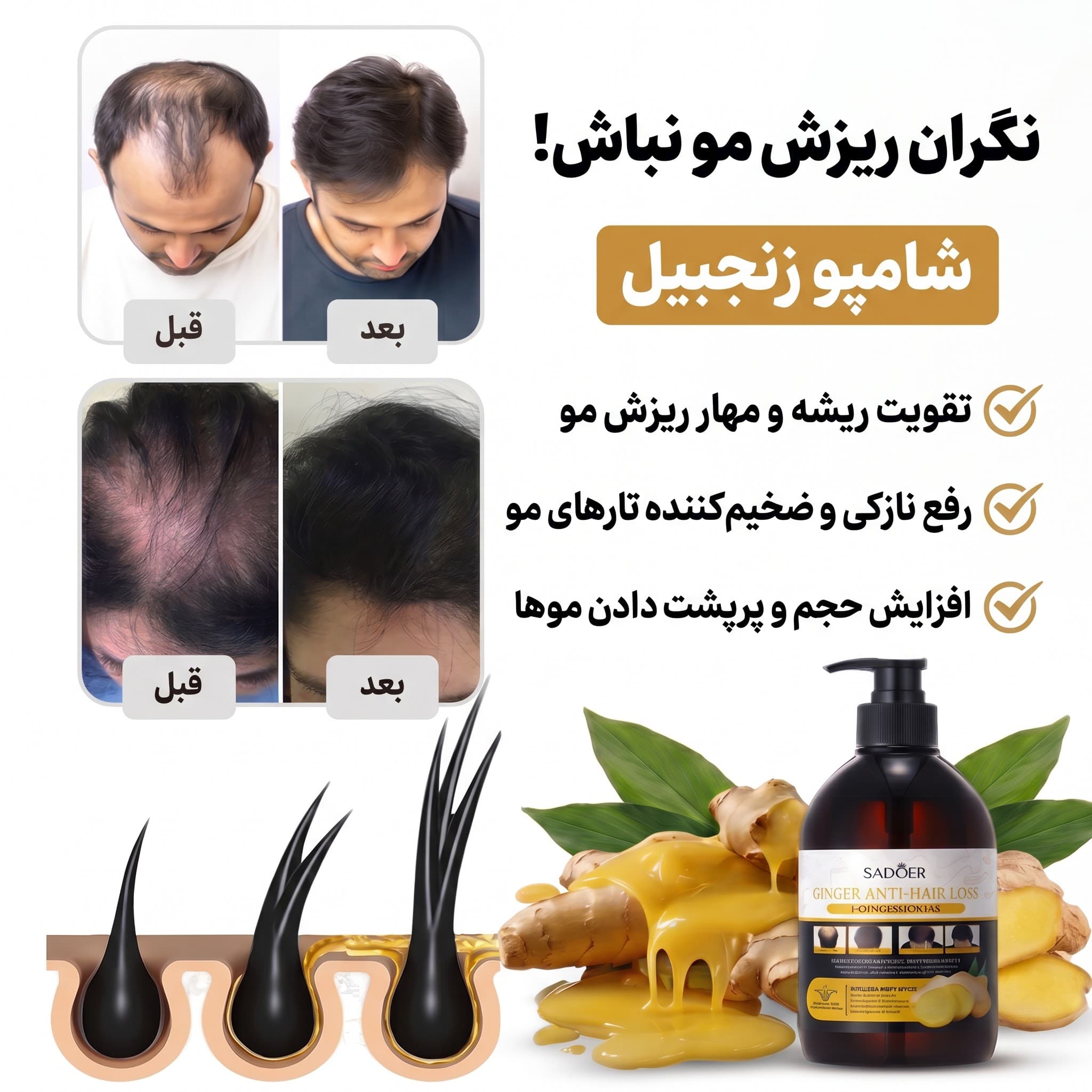 شامپو ضد ریزش و تقویت‌کننده مو عصاره زنجبیل سادور