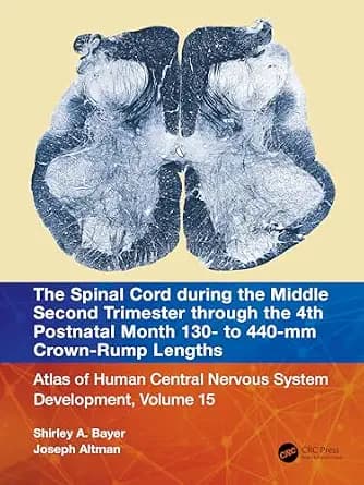 و دانلود نسخه کامل کتاب زبان اصلی The Spinal Cord during the Middle Second Trimester through the 4th Postnatal Month 130- to 440-mm Crown-Rump Lengths: Atlas of Human Central Nervous System Devel