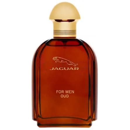 عطر ادکلن جگوار عود مردانه 100 میل | Jaguar For Men Oud