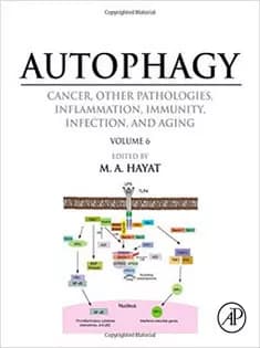دانلود کتاب Autophagy: Cancer, Other Pathologies, Inflammation, Immunity, Infection, and Aging: Vol 6- Regulation of Autophagy An