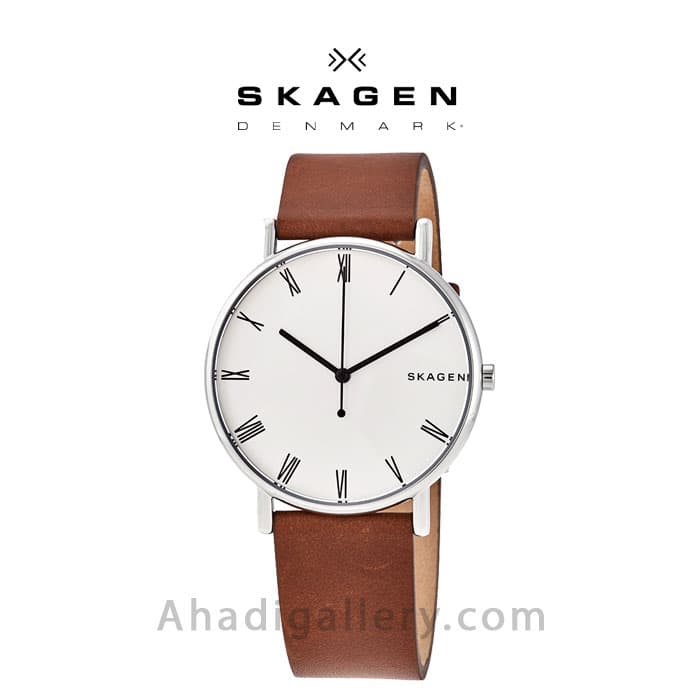 ساعت مچی اسکاگن مدل SKW6427