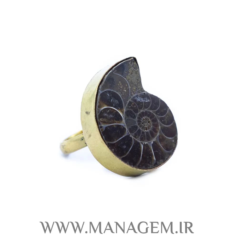 انگشتر فسیل آمونیت