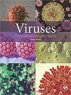 دانلود کتاب Viruses: From Understanding to Investigation
