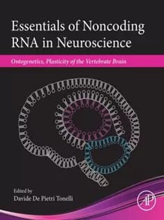 دانلود کتاب Essentials of Noncoding RNA in Neuroscience