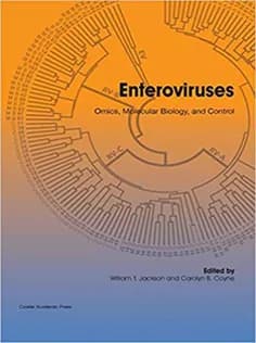 دانلود کتاب Enteroviruses: Omics, Molecular Biology, and Control
