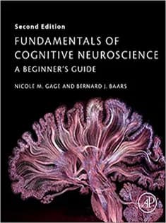 دانلود کتاب Fundamentals of Cognitive Neuroscience: A Beginner’s Guide