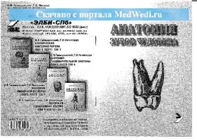 دانلود کتاب Анатомия зубов человека