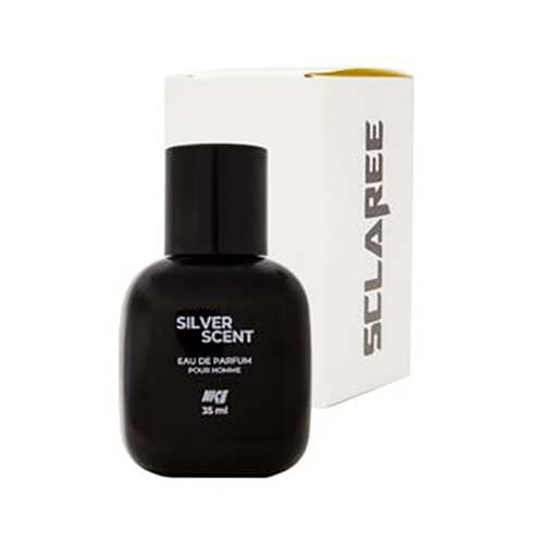عطر مردانه silver scent خنک و تلخ 35میل نایس