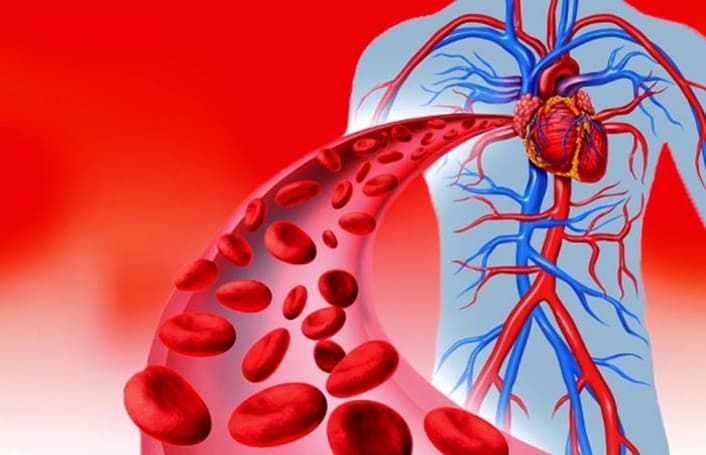 دانلود پاورپوینت بررسی ارتباط تغذیه با گردش خون