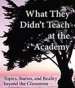 دانلود کتاب What They Didn’t Teach at the Academy: Topics, Stories, and Reality beyond Classroom