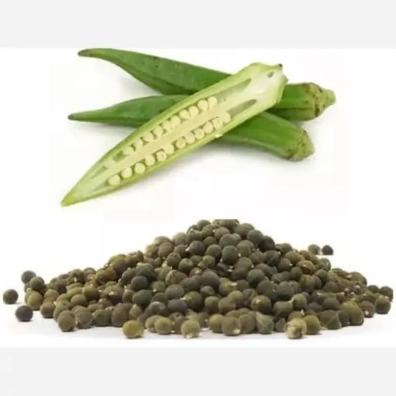 تخم (بذر) بامیه 90 گرم
