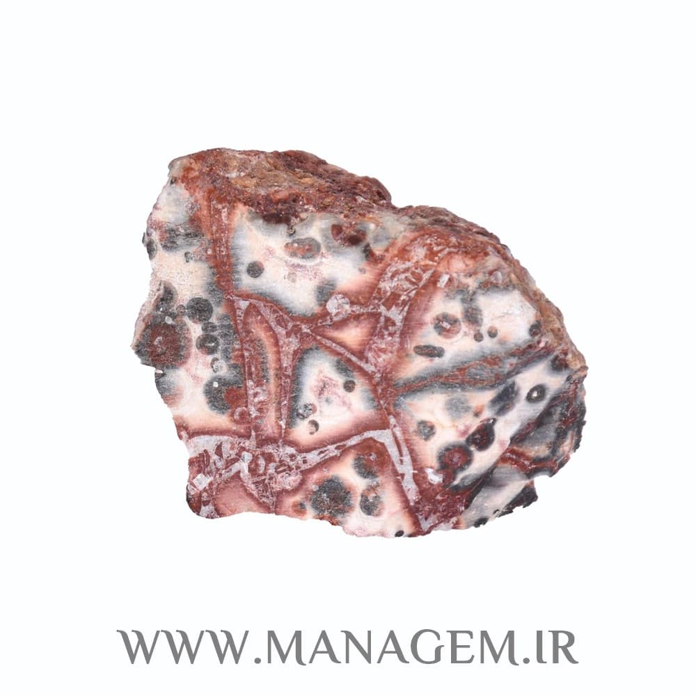 سنگ راف جاسپر اقیانوسی