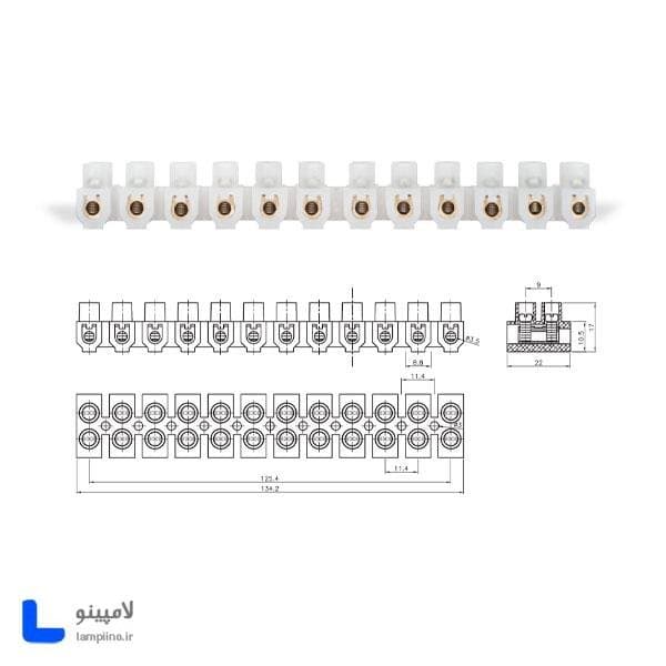 ترمینال برق شاخه ای 12 خانه سایز 10 (40A) رعد گستر