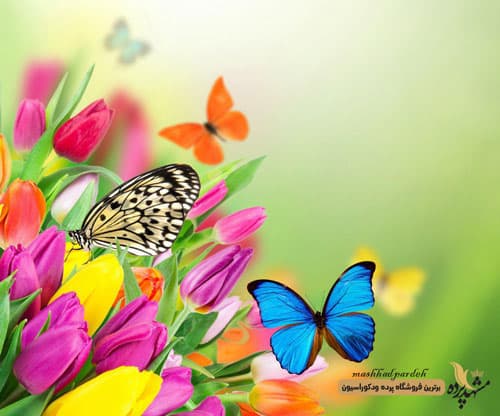 پرده لوردراپه تصویری طرح گل و پروانه کد 1017