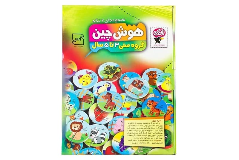 بازی فکری هوش چین (مجموعه 2 تکه)