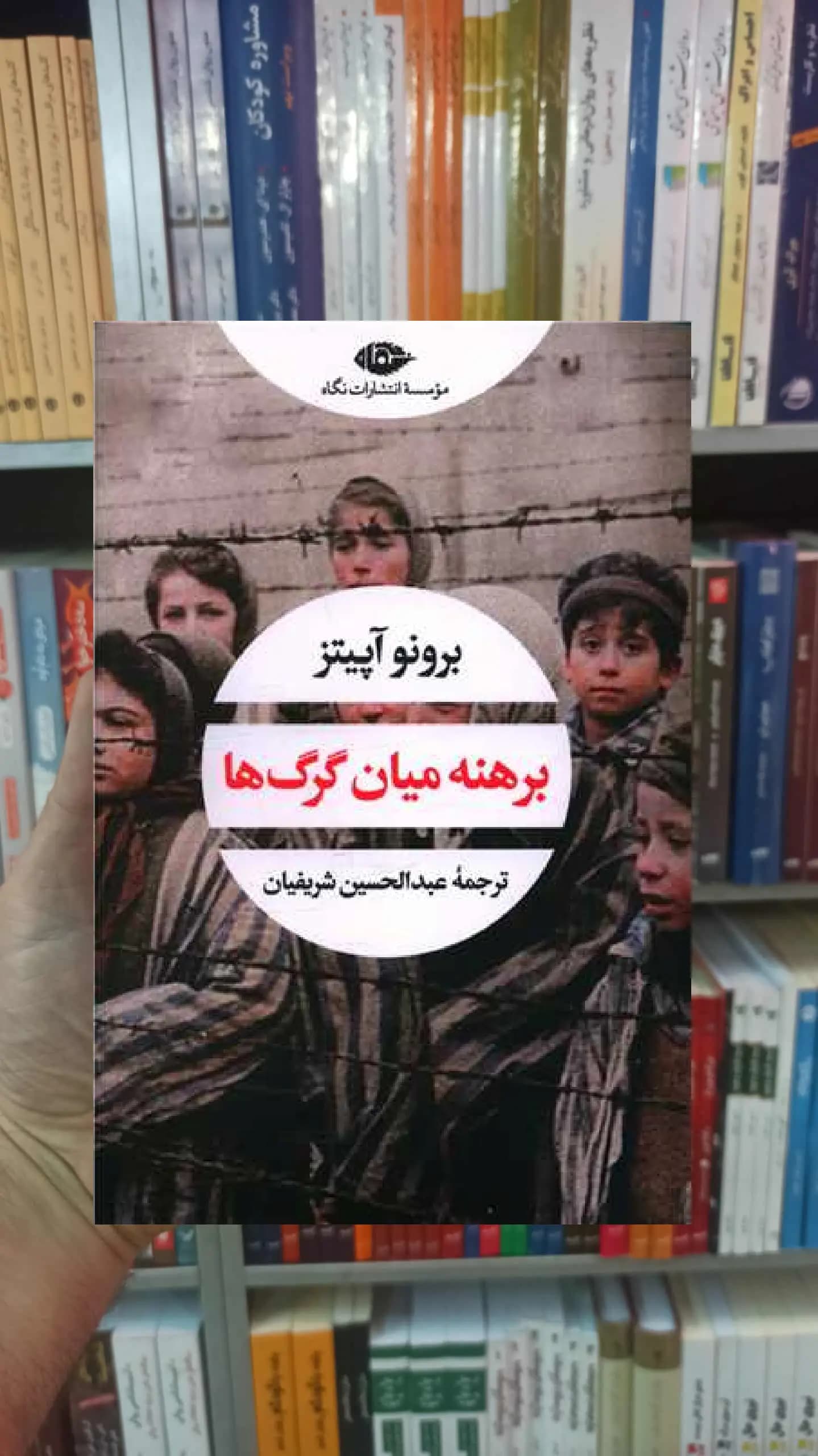 برهنه میان گرگ ها آپتیز نگاه