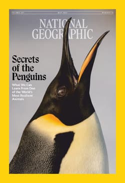 دانلود مجله National Geographic USA؛ می 2025