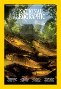 دانلود مجله National Geographic USA؛ ژوئن 2024