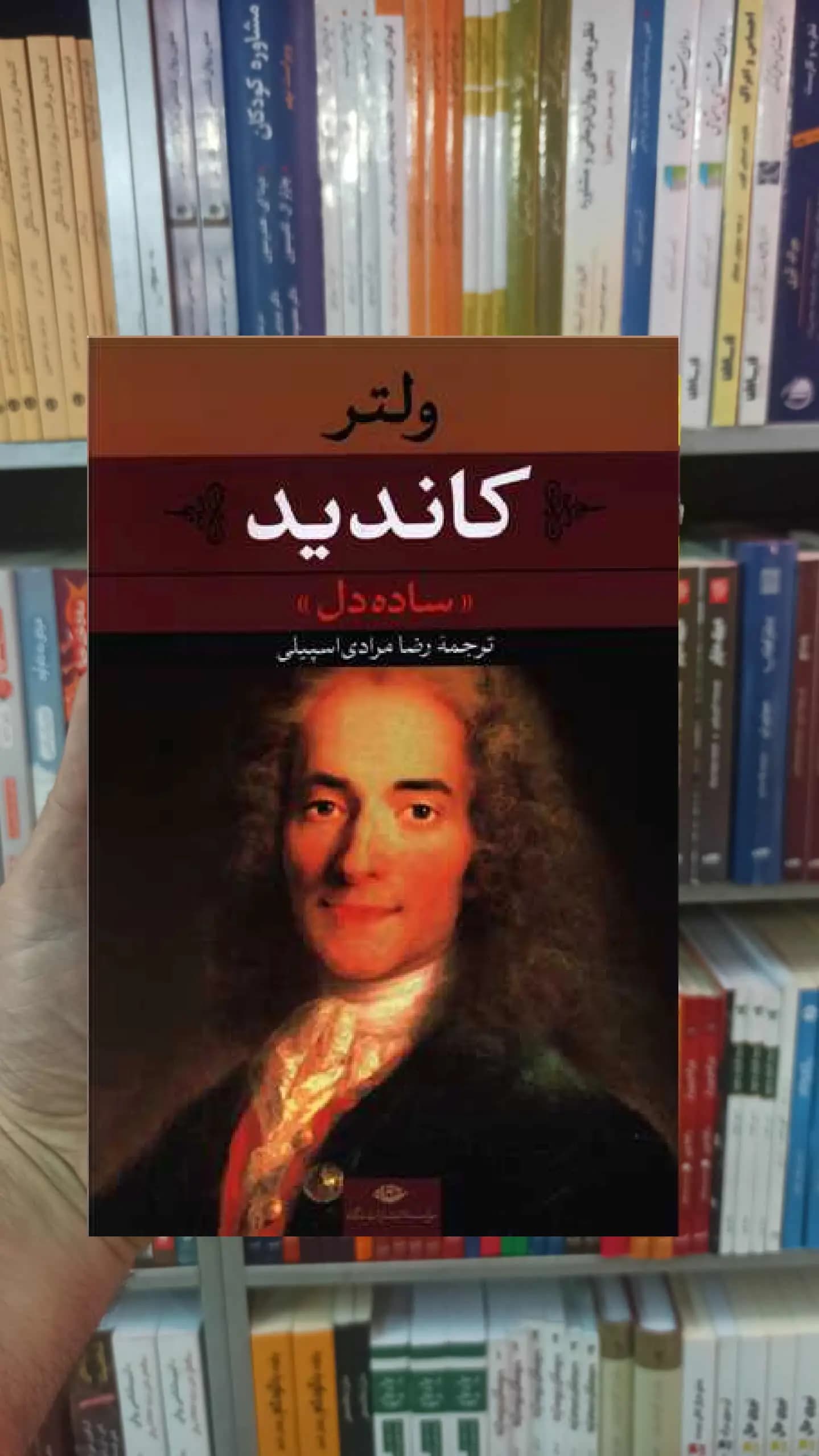 کاندید ولتر نگاه