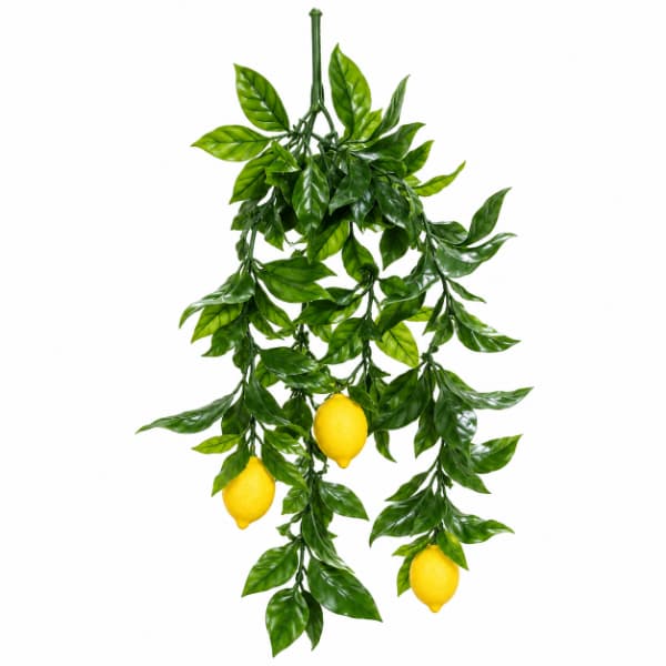 آویز بوته میوه