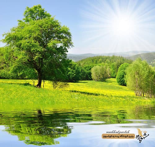پرده شیدرول تصویری کد 1075