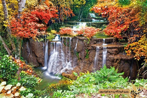 پرده شیدرول تصویری کد 1081