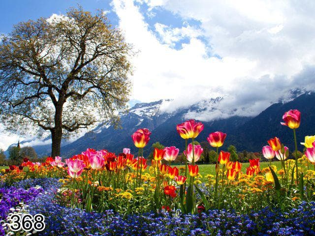 پرده لوردراپه تصویری طرح دشت گل کد 368