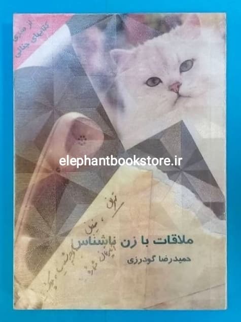 کتاب ملاقات با زن ناشناس اثر حمیدرضا گودرزی