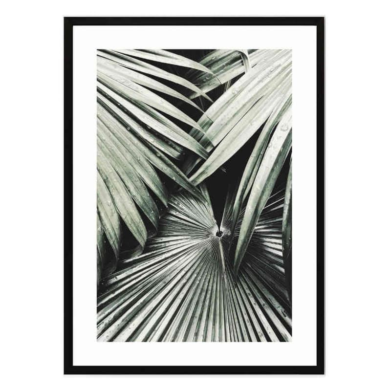 تابلو مدل Dark palm leaves کد 248901956