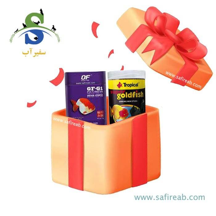 پک گلد فیش تقویتی