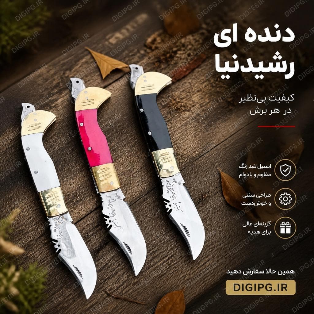 چاقو جیبی دنده ای رشیدنیا