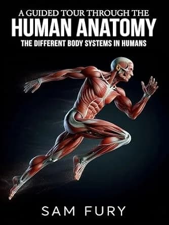 و دانلود نسخه کامل کتاب زبان اصلی A Guided Tour Through the Human Anatomy: The Different Body Systems In Humans (Functional Health Series) PDF | دانلود کتاب خارجی
