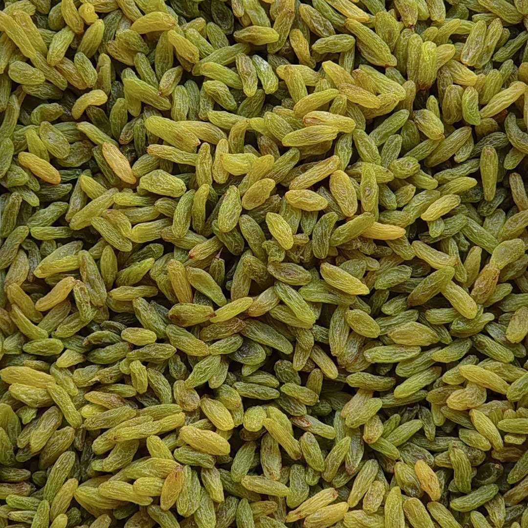 عمده کشمش سبز قلمی (پیکامی)