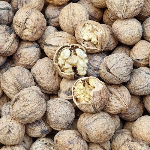 عمده گردو پوست کاغذی ایرانی