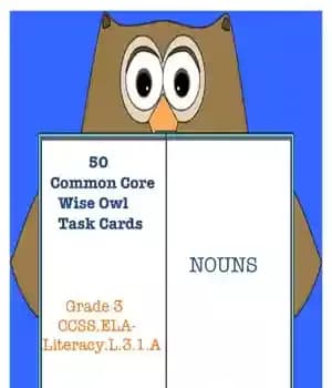 دانلود کتاب 50 Noun task cards Common Core! Grade 3 Early Finishers Centers Review – Common