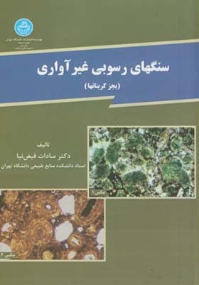 کتاب سنگهای رسوبی غیرآواری