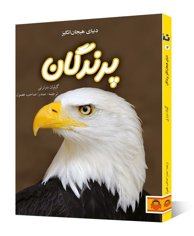 دنیای هیجان انگیز پرندگان