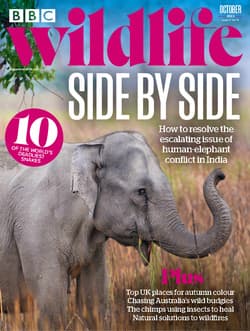 دانلود مجله BBC Wildlife؛ اکتبر 2023