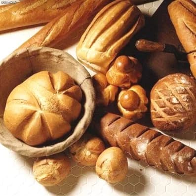 و دانلود بانک اطلاعات نانوایی های استان خراسان رضوی