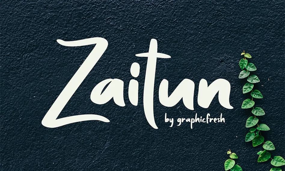 فونت انگلیسی Zaitun مناسب برای طراحی و گرافیک