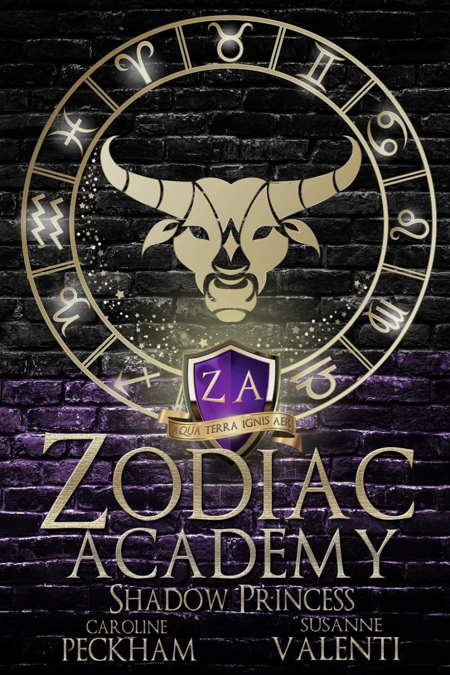 کتاب Shadow Princess (Zodiac Academy Book 4) اثر Caroline Peckham, Susanne Valenti | نسخه انگلیسی