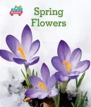 دانلود کتاب Spring Flowers