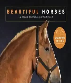 دانلود کتاب Beautiful Horses: Portraits of champion breeds