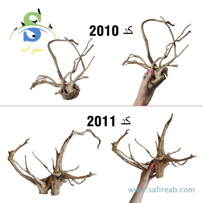 چوب تزئینی آکواریوم ریشه چوب آبنوس