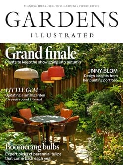 دانلود مجله Gardens Illustrated؛ اکتبر 2023