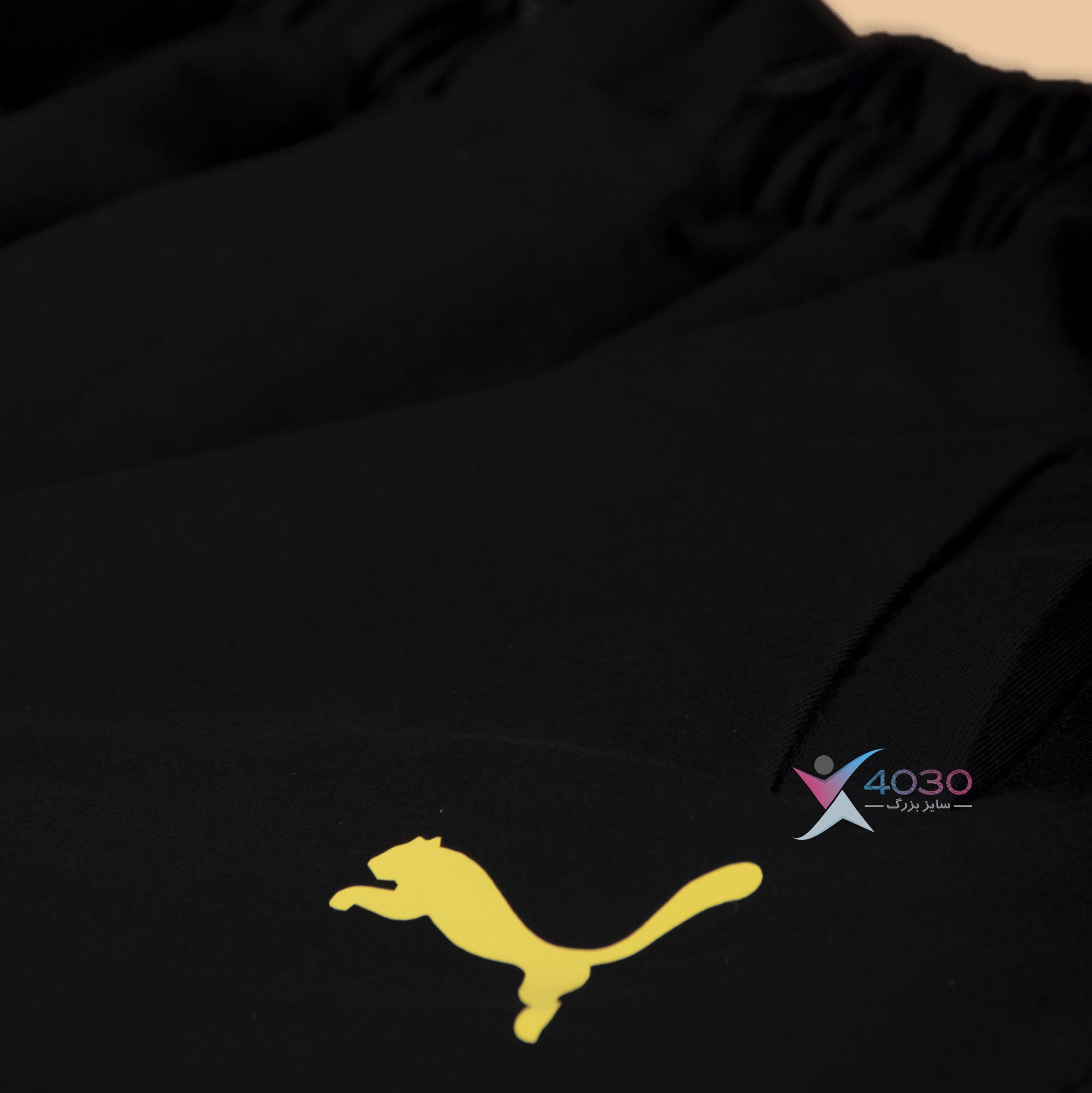 شلوارک Puma سایز بزرگ مردانه ( 3459 ) — تصویر ۳