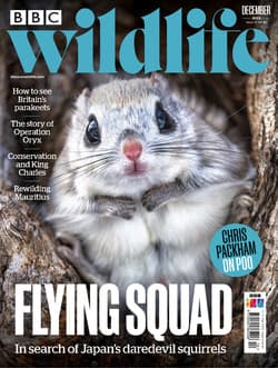 دانلود مجله BBC Wildlife؛ دسامبر 2022
