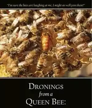 دانلود کتاب Dronings from a Queen Bee: The First Five Years