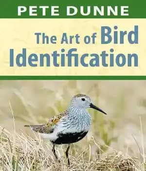 دانلود کتاب The Art of Bird Identification: A Straightforward Approach to Putting Name