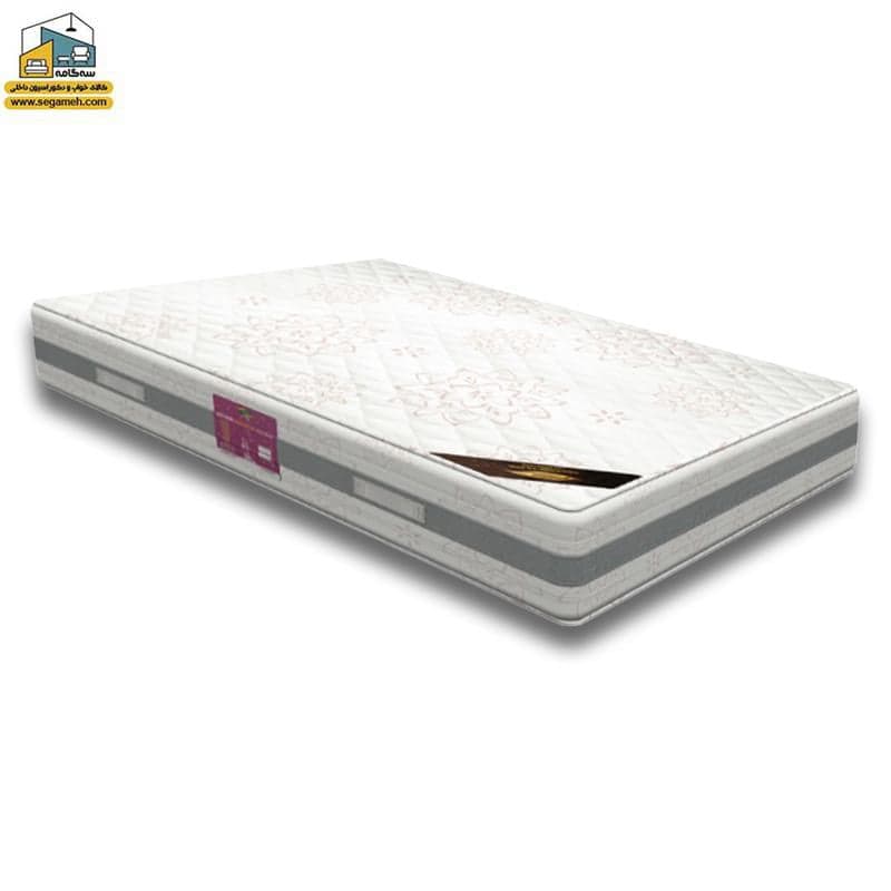 تشک ویستر مدل ویسکو ویستر سایز 120*200